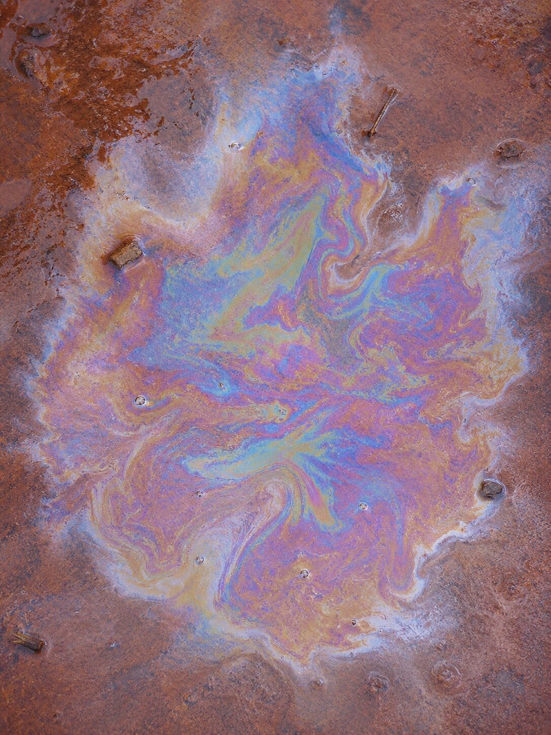鉄バクテリアによる虹色の油膜